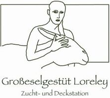 Esel Loreley