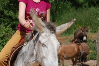 dsc-0295_orig